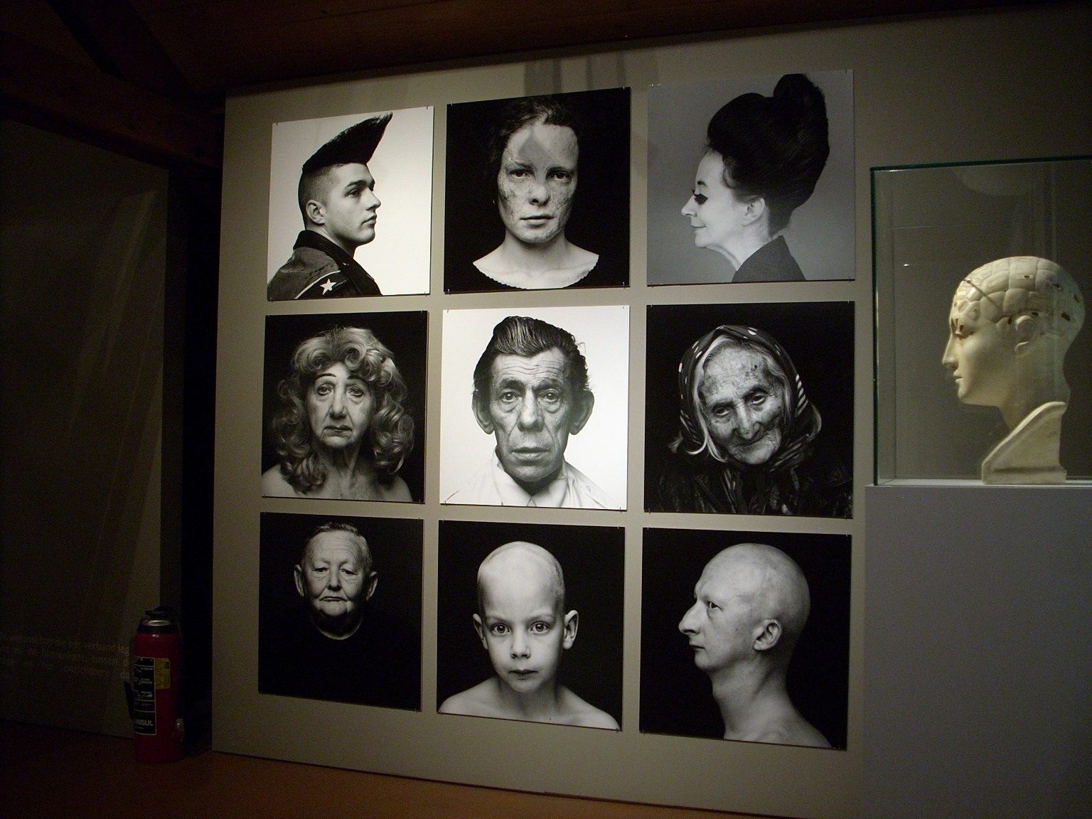 Phrenological head, Museum Dr Guislain, Gand - 2.JPG